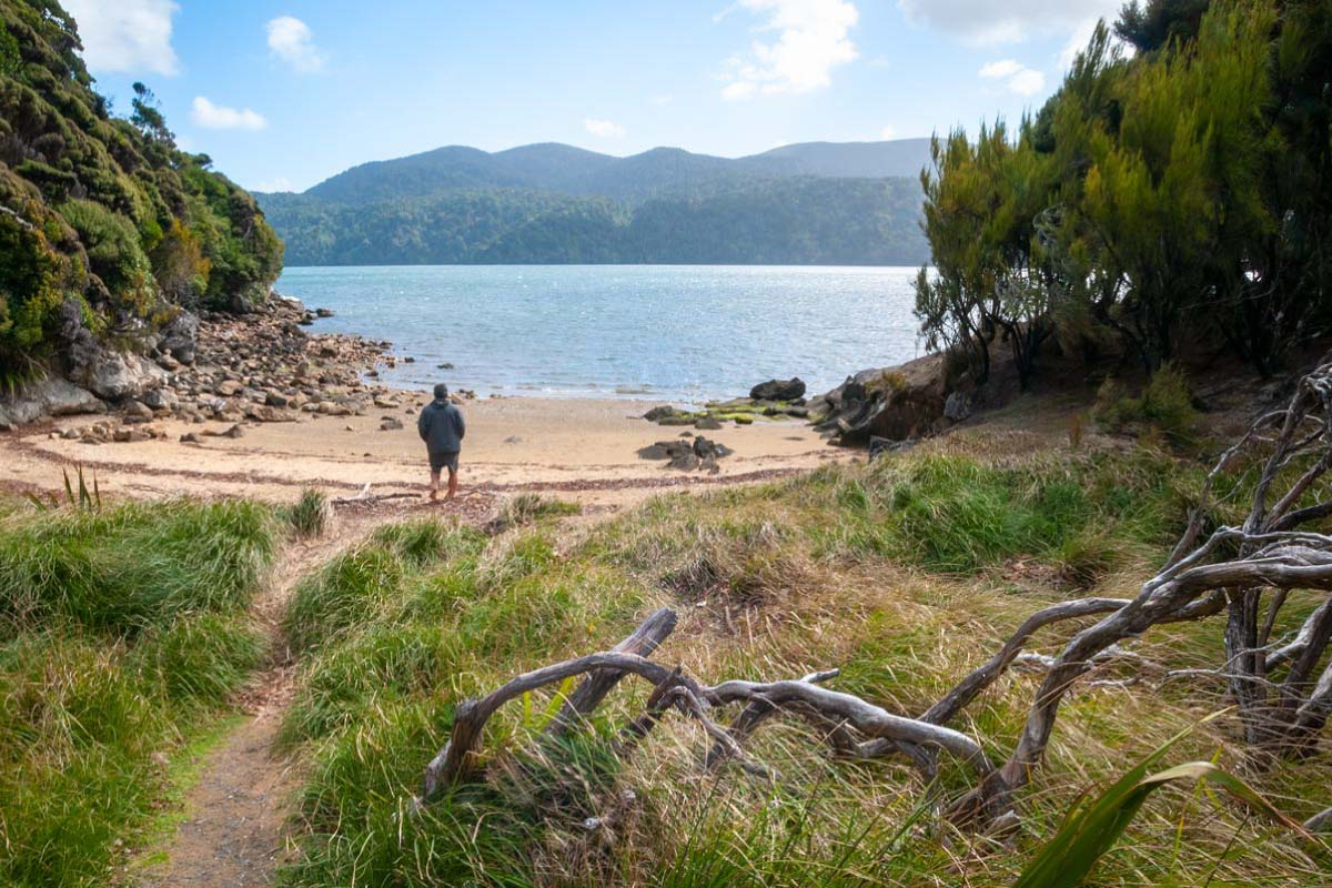 Walking on Stewart Island